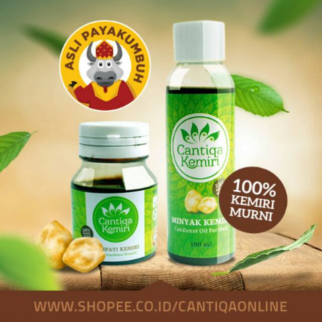 penumbuh rambut organic minyak kemiri obat rontok & ketombe Minyak Dan Saripati Cantiqa Kemiri penumbuh rambut organic minyak kemiri obat rontok & ketombe Minyak Dan Saripati Cantiqa Kemiri