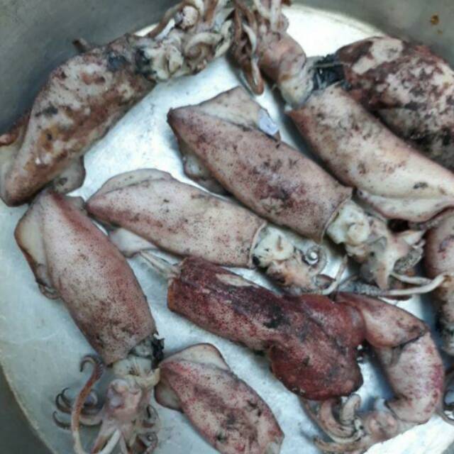 

Cumi asin ukuran sedang