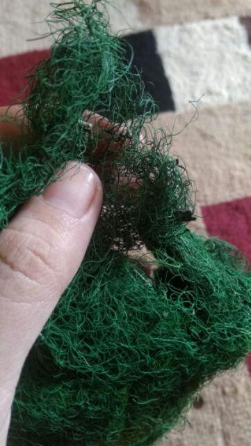 Rumput Kayu Angin Hijau 20gr