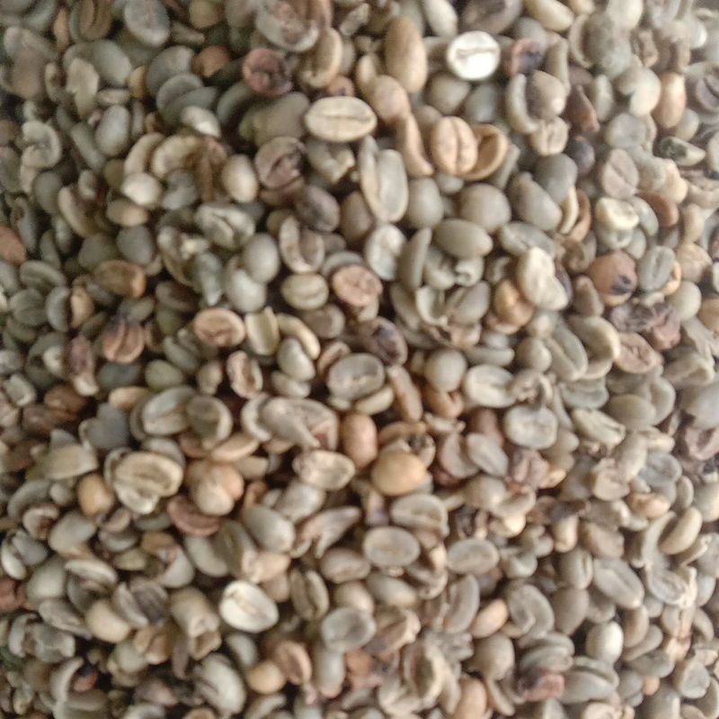 

kopi arabica