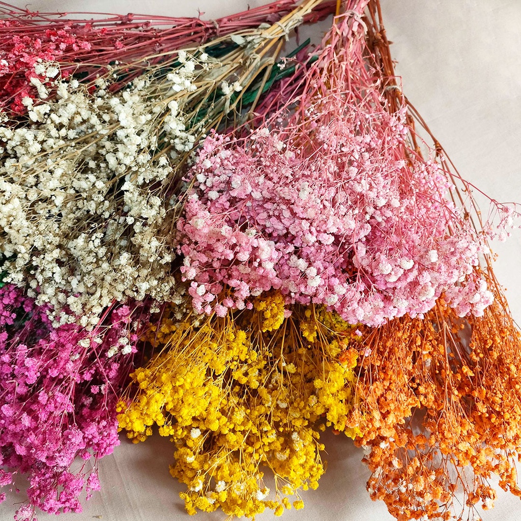 Dried Flower Preserved Real Touch Premium Baby's Breath Gypsophila Bunga Kering Asli Hias Dekorasi Pesta