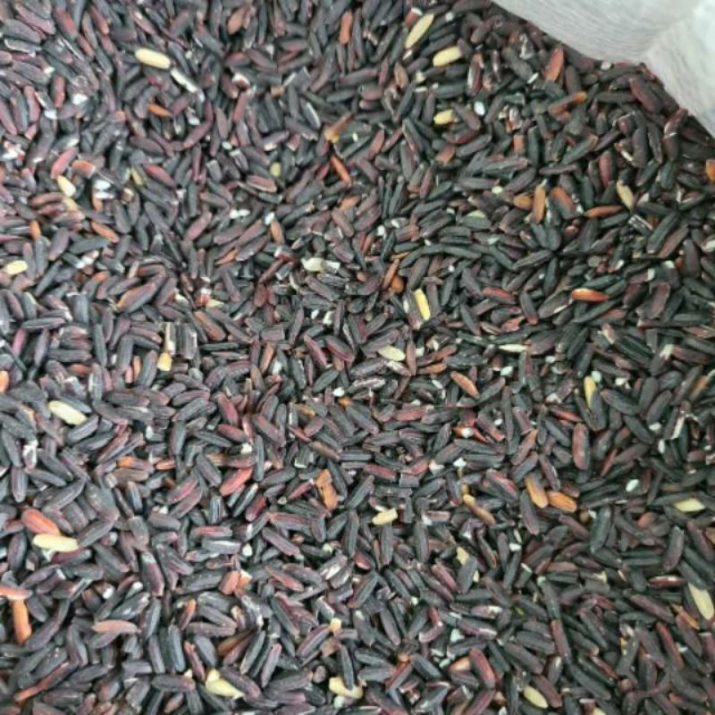 

Ketan Hitam Konsumsi Super 1 Kg