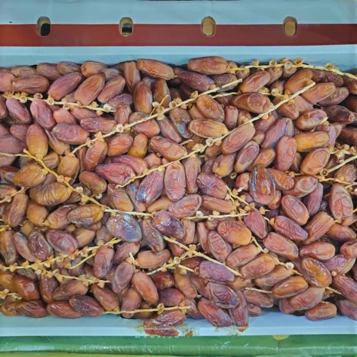 

Kurma tunisia Tangkai 1kg KEMASAN PLASTIK PREES// kurma tunisia tangkai oleh oleh haji dan umroh