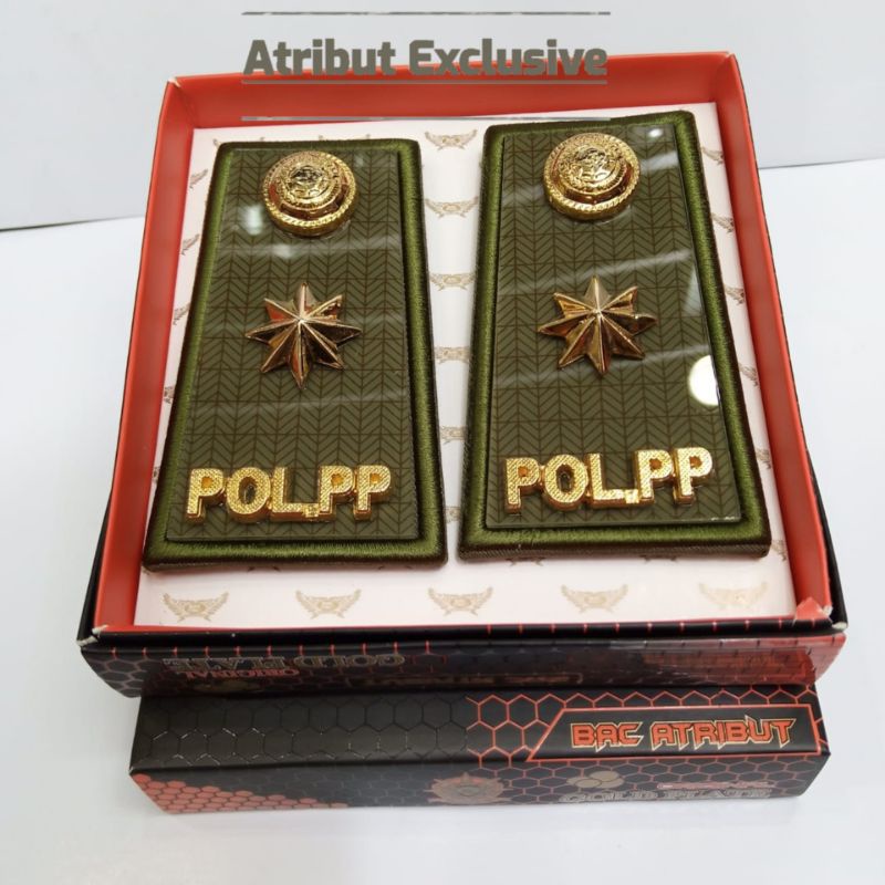 TANDA PANGKAT POLPP POL PP SAT POL SATPOL GOLONGAN 4C 4D KASAT KABUPATEN KOTA PROVINSI