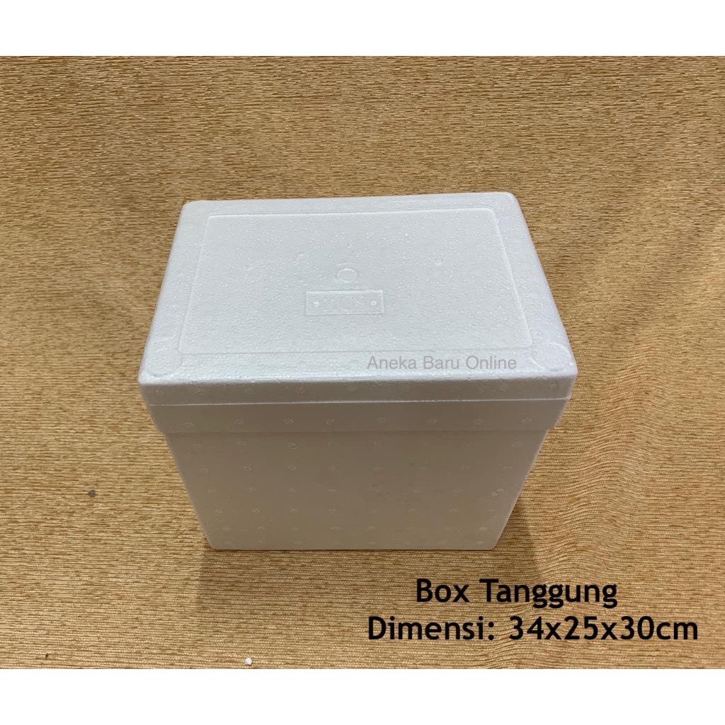 

Tanggung - Box Gabus Styrofoam / Sterofoam (34 x 25 x 30cm) - SURABAYA
