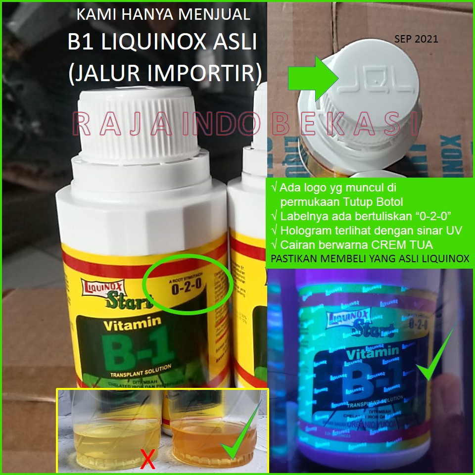 Ori B1 Liquinox 100 Ml Penumbuh Akar Obat Anti Stres Vitamin Nutrisi B1 Tanaman Bibit Stek Cangkok