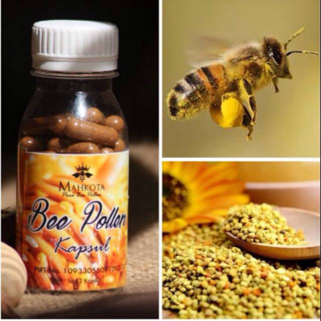 

Madu asli BEE POLLEN