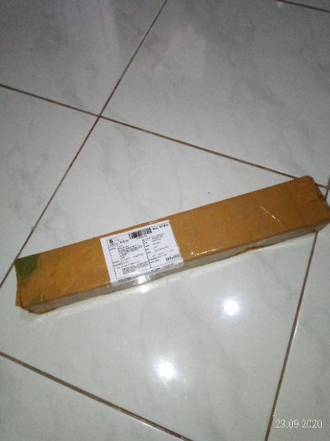 Termurah Bibit Pohon Anggur Terlaris