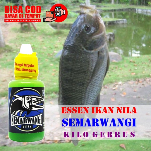 ESSEN IKAN NILA HARIAN - SEMARWANGI HIJAU - UMPAN MANCING / PANCING