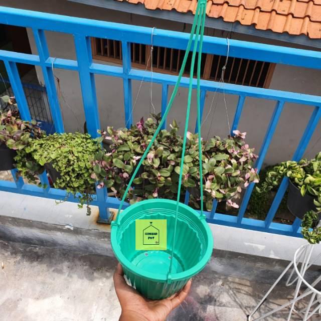 pot bunga tanaman gantung warna warni pumba 19cm