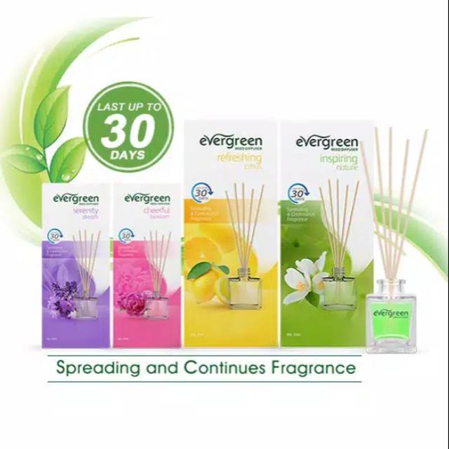 EVERGREEN Pengharum Ruangan Reed Diffuser 30ml