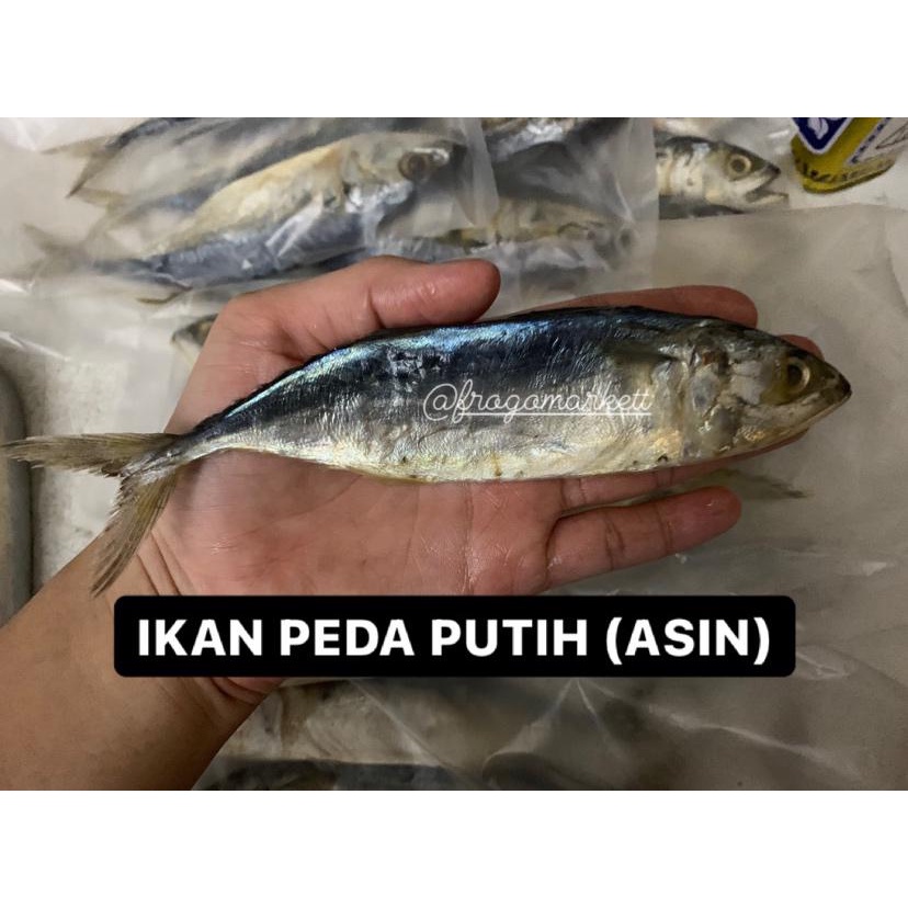 Ikan Peda Putih Ikan Asin 3pcs