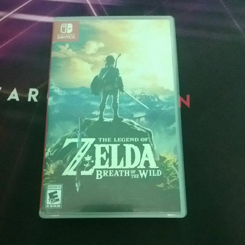 Zelda of breath the wild second