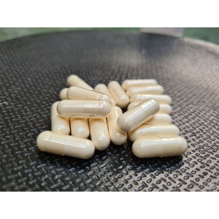 PROMO 30 Kapsul Colostrum Untuk Gemukin Kucing