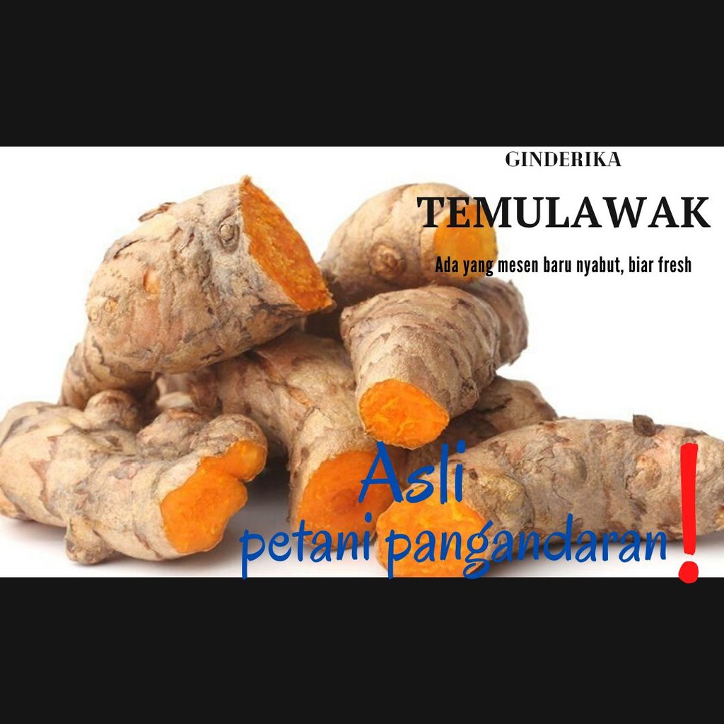 

GIYAD - Temulawak / curcuma segar 1 kg