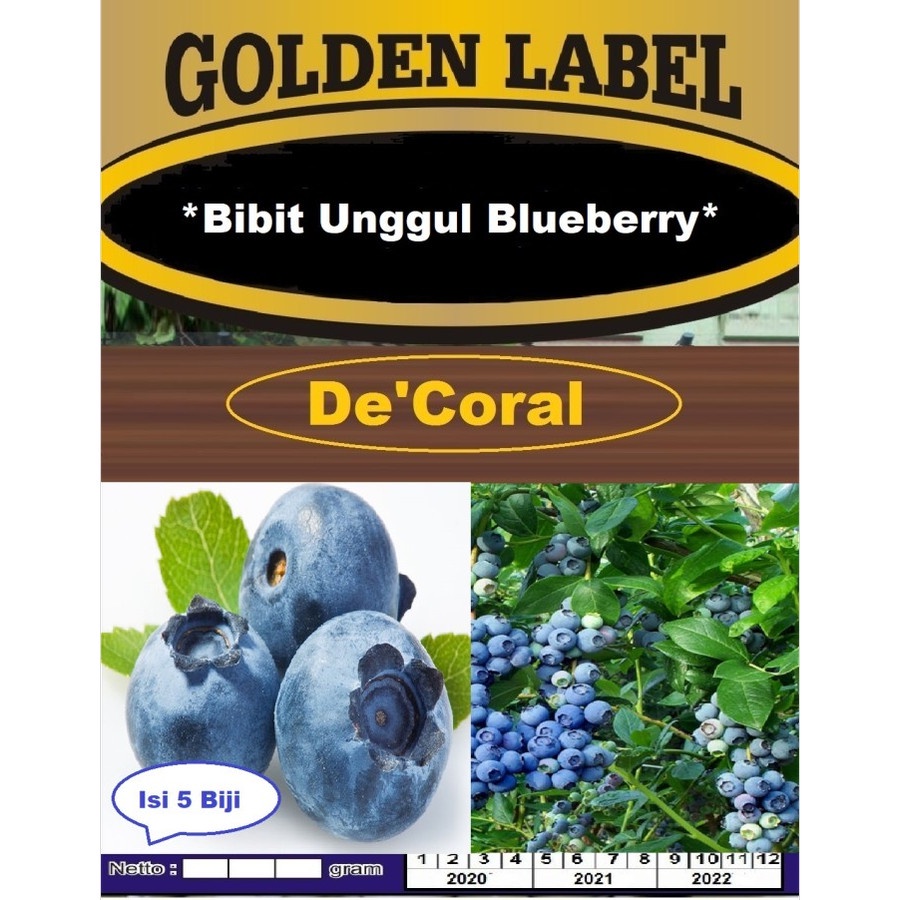 Bibit Unggul Blueberry | Benih Unggul Blueberry | Biji Unggul Blueberry | Bibit Blueberry