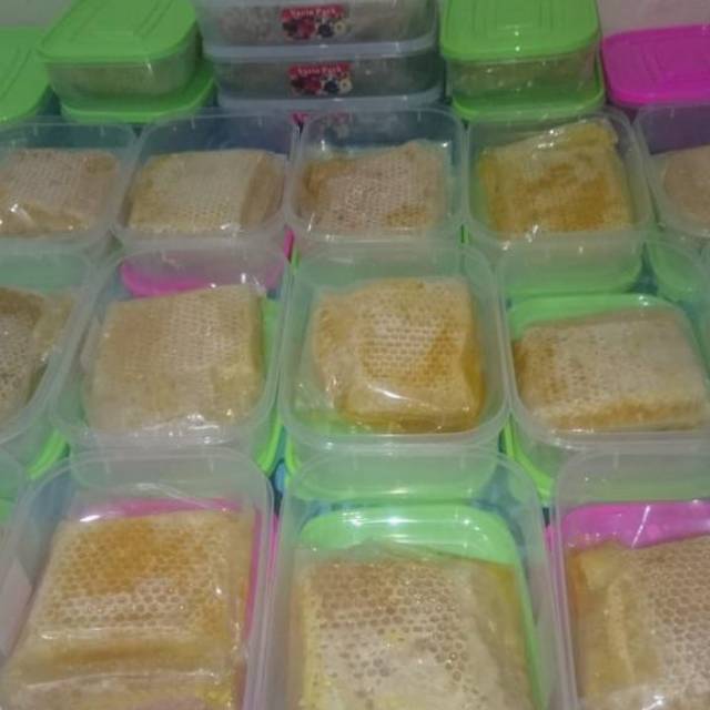 

Sarang madu asli