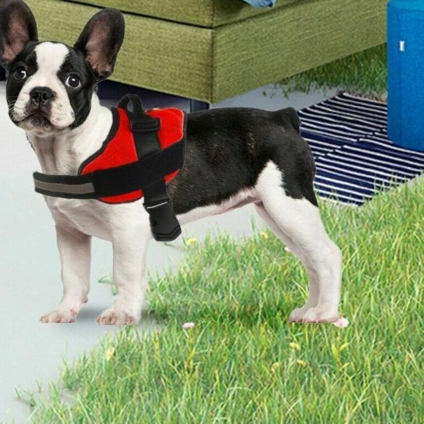 ✻ HARNESS ANJING TALI ANJING HARNESS ANJING BESAR MEDIUM TALI TUNTUN ANJING ROMPI ANJING TALI HARNES
