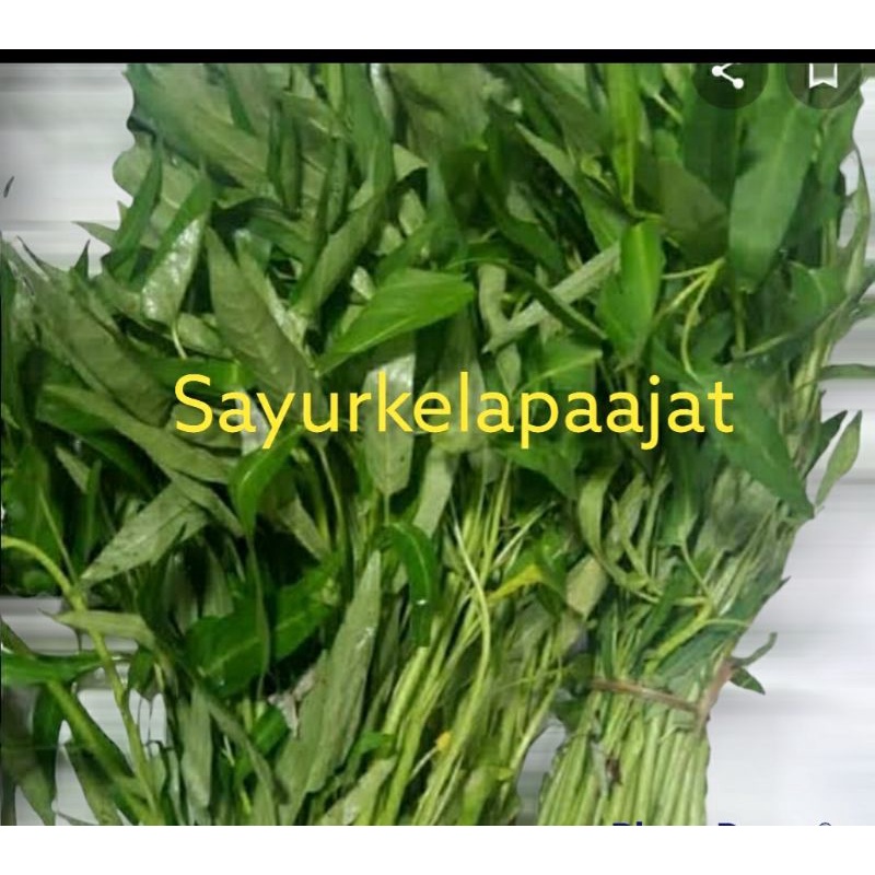 

kangkung hijau segar 1 ikat