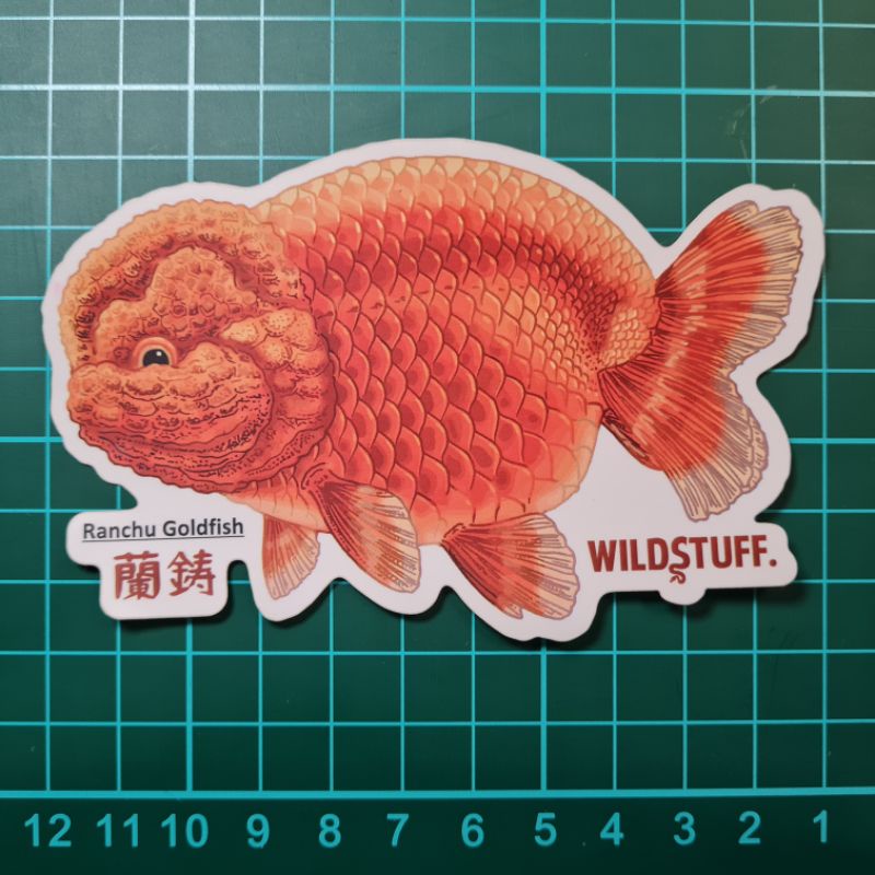 STICKER MASKOKI RANCHU GOLDFISH