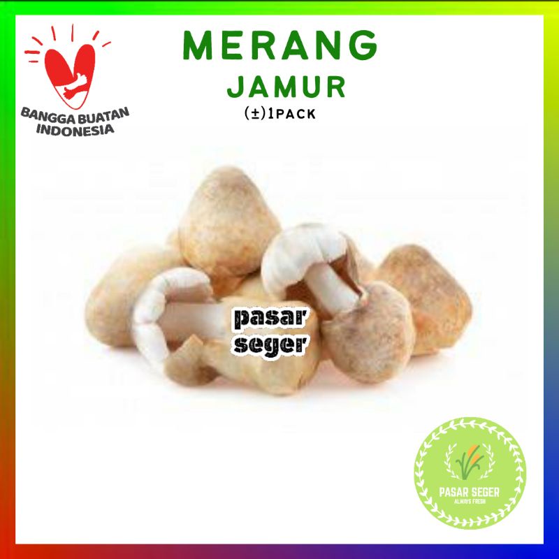 

JAMUR MERANG [250g]