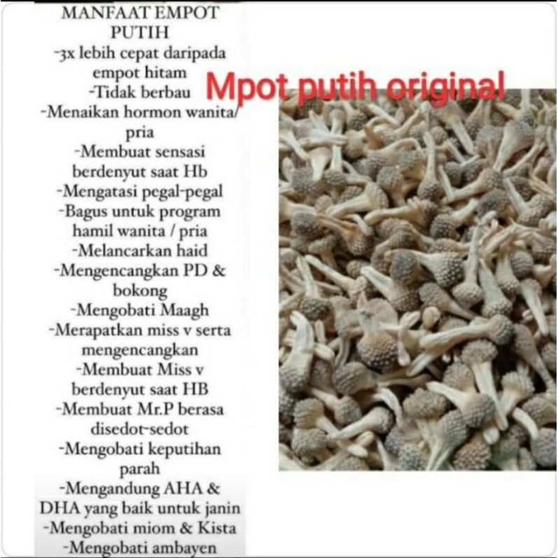 

Jamu MPOT PUTIH original MADURA