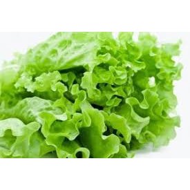 

Salada Keriting Super Fresh