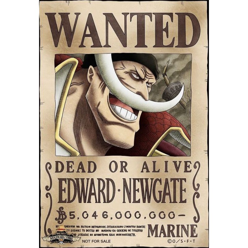 [BAYAR DITEMPAT] 1 Set Poster dan satuan Wanted One Piece-10