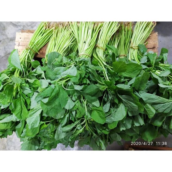 

SAYUR BAYEM SEGAR DAN BERKUALITAS 500GR