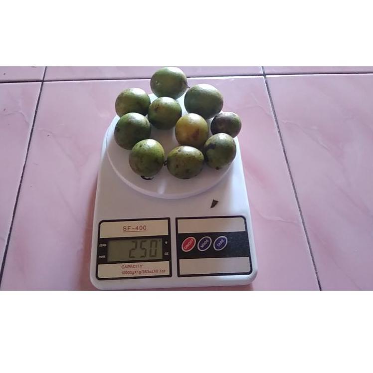 

Laris Q0CGN BUAH GANDARIA / BUAH JATAKE / BUAH SEGAR / BUAH PETISAN 78 ❃Harga Termurah