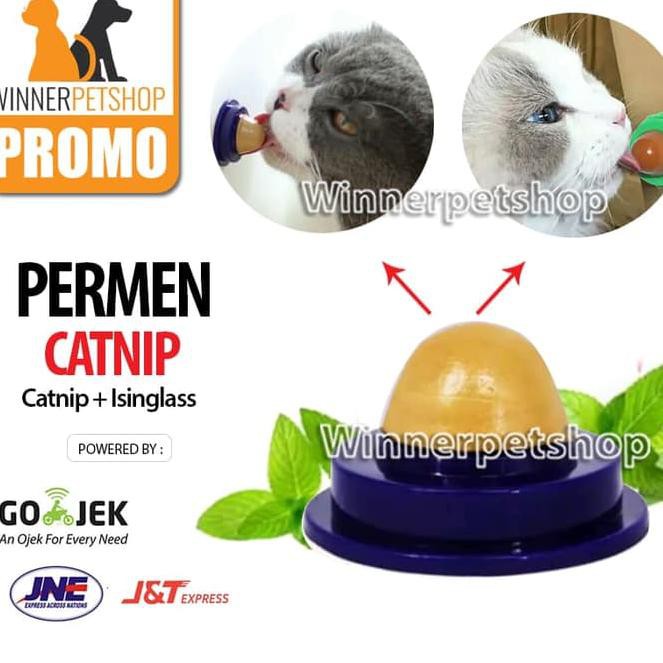 

❅77893✻ Permen Catnip Permen Kucing