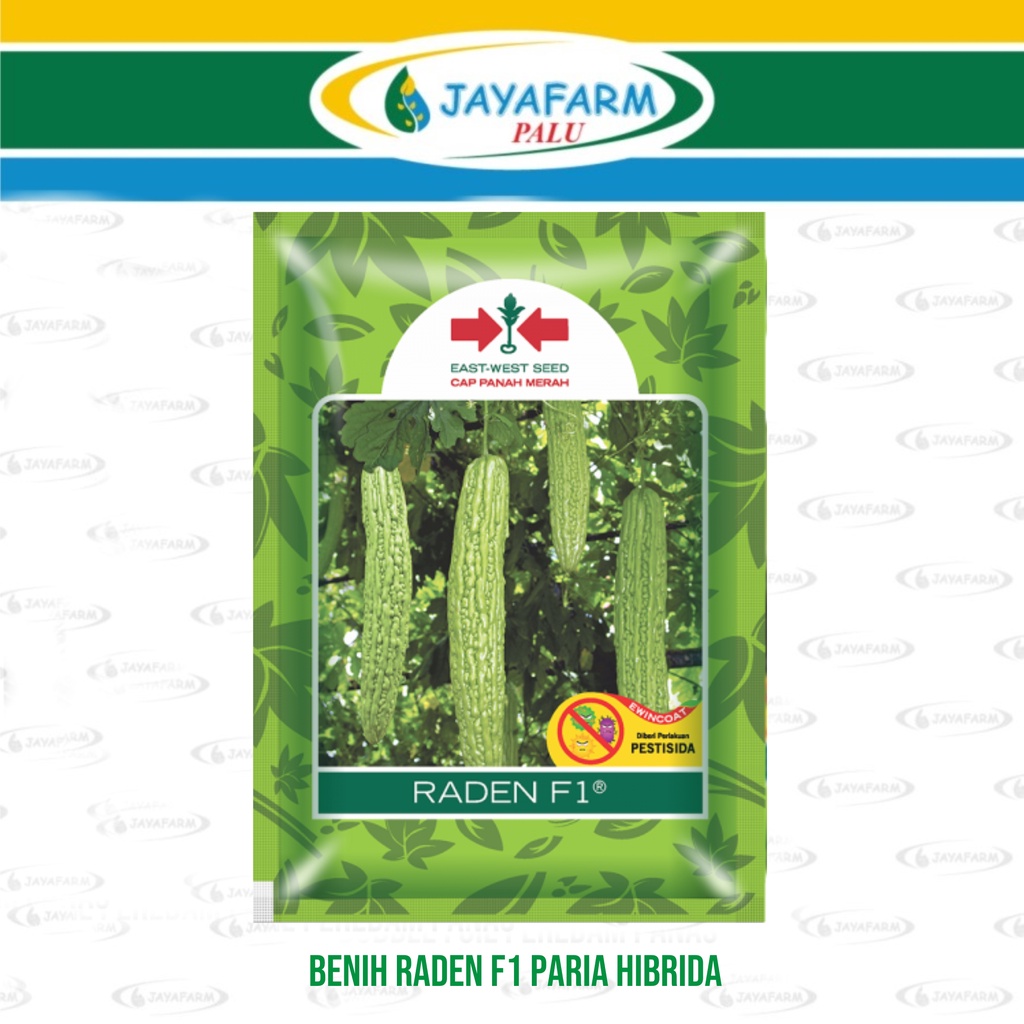 Benih RADEN F1 Paria Hibrida