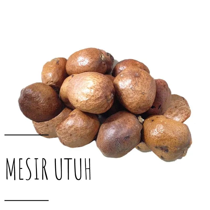 BUAH ZURIAT MADINAH MESIR 1 KG ZURIAT PROMIL BELAH DAN UTUH