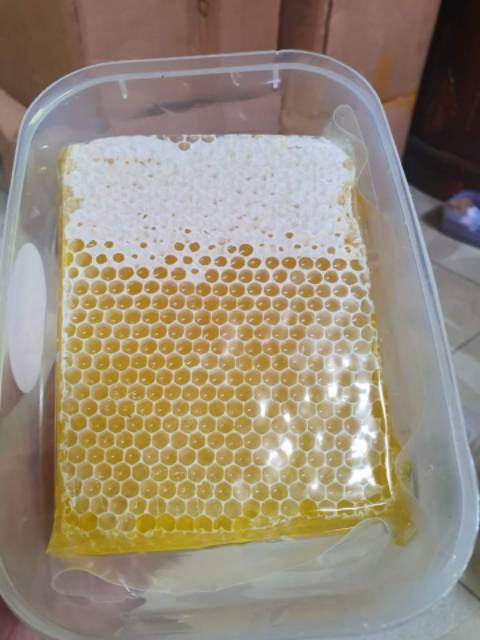 Madu murni COD 500 gram Sarang madu Honeycomb madu sarang melifera madu murni500 gram