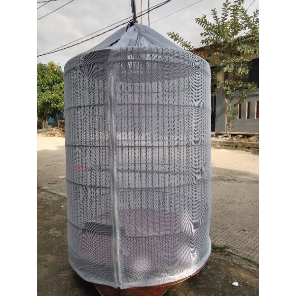 krodong transparan murai