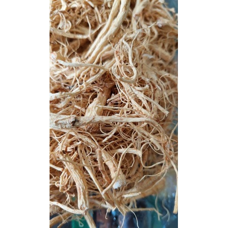 YIU SIM KHA (AKAR GINSENG) MLYS isi 1niu