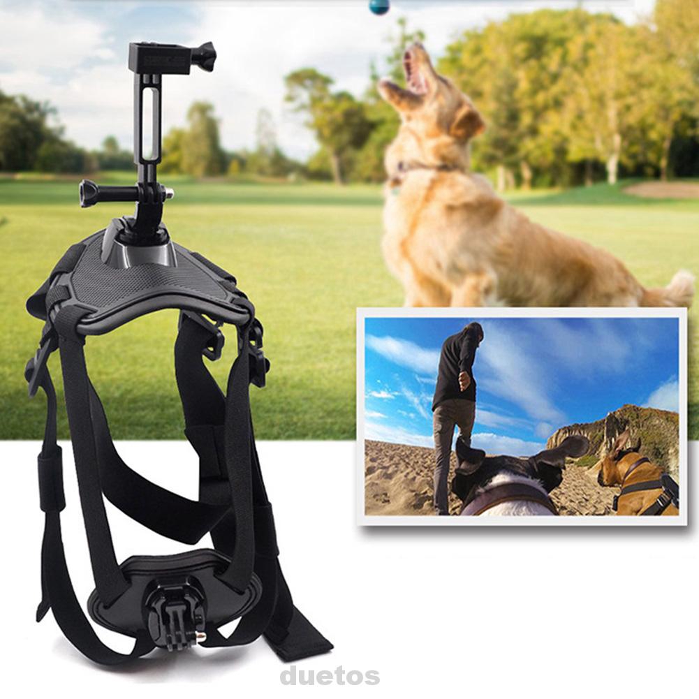 outdoor dog camera
