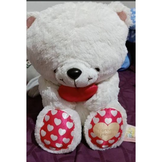 Boneka teddy FF white NT & Brown