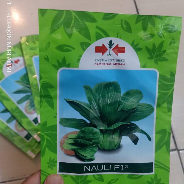 benih pakcoy NAULI F1