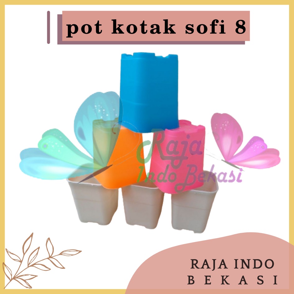 Pot Kotak Sofi 8 Cm / Batik 8cm Putih Pink Hijau Biru - Pot Tosca Sanse Sekulen Mini Kaktus Pot 8CM