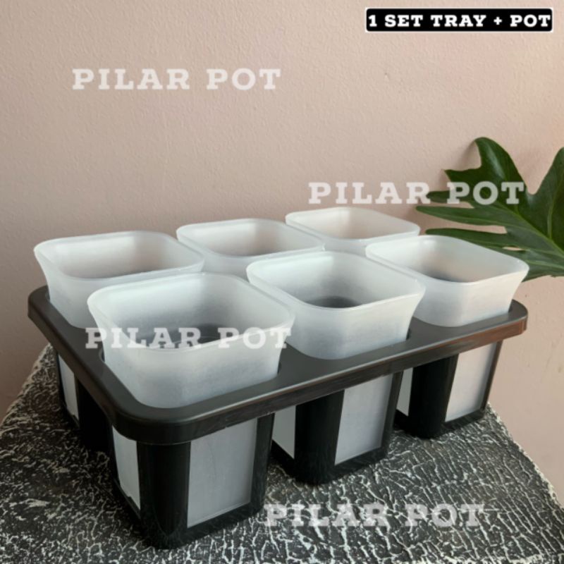 1 set Tray + POT BUNGA NKT KOTAK 7 CM BENING TRANSPARAN | tray semai bibit