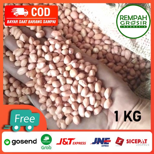 

Kacang Tanah India Super Ukuran 80/90 1KG | 1 kg Kilo Grosir Grosiran