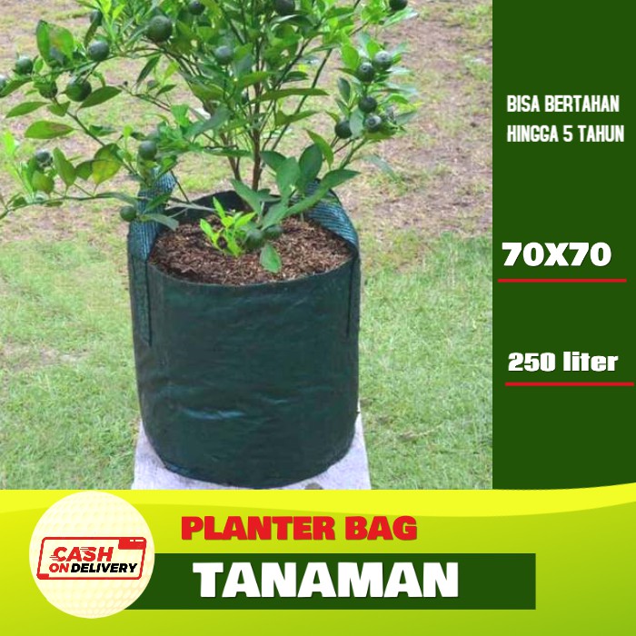 Planter Plater Bag Wall Planter Bag Pot Media Tanaman Bunga Ukuran Volume Besar 70x70 250 Liter Plan
