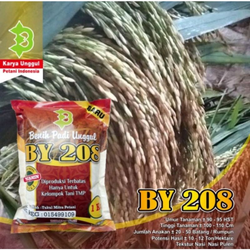 Biji Padi BY 208