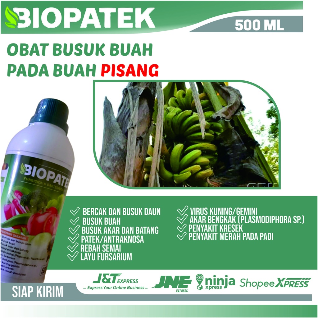 Obat Busuk Batang Pisang - Biopaek Fungisida & Bakterisida Hayati Ampuh Mengatasi Hama Penyakit , Kr