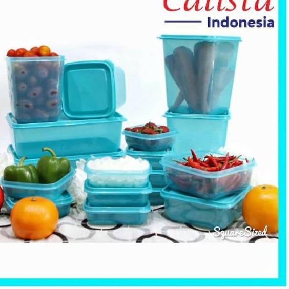 DAPATKAN SEGERA Wadah sayuran plastik tempat makanan plastik Container box plastik Calista Otaru Col