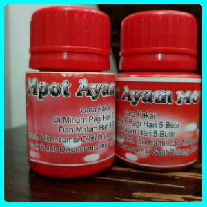 

Mpot Ayam Momo - Empot Ayam - Mpot Momo Asli 100% Original