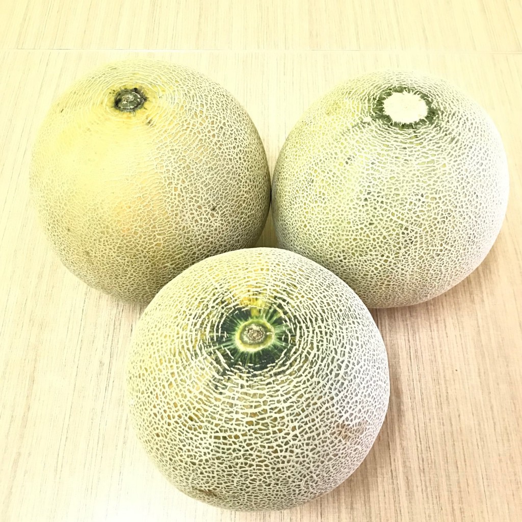 

Buah Melon Manis - Harga Satuan Termurah Di Pasaran