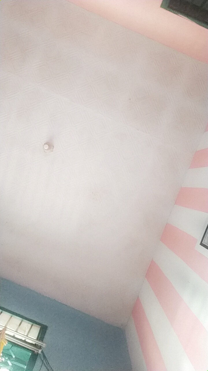 Sprei Set Katun Lokal Premium Kotak Kotak Putih Dan Motif Daun Monstera