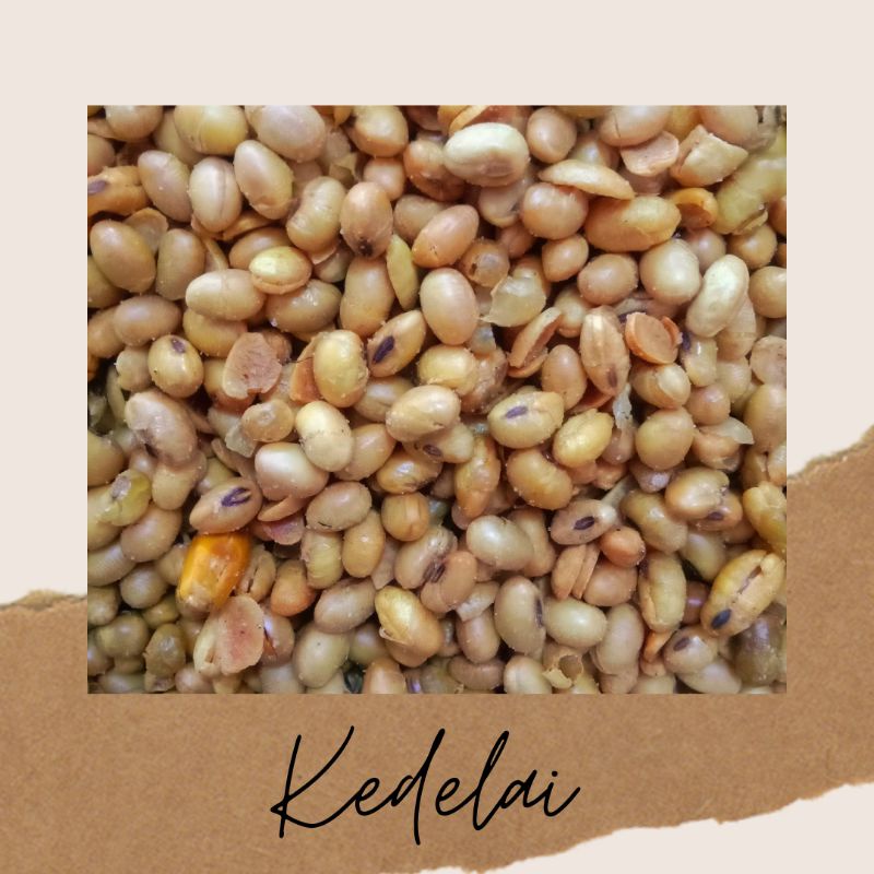 

Kacang Kedelai 250gr